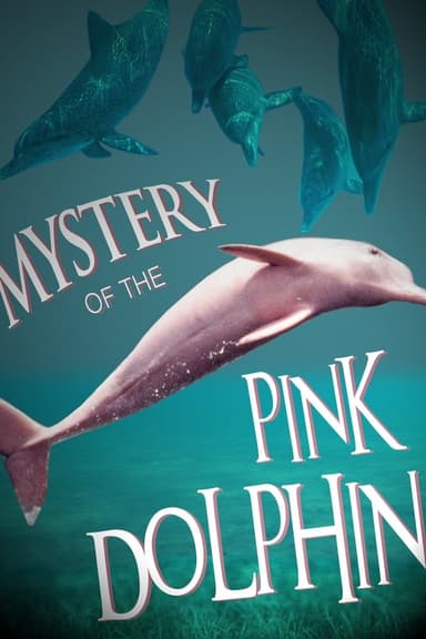 The Mystery of the Pink Dolphin