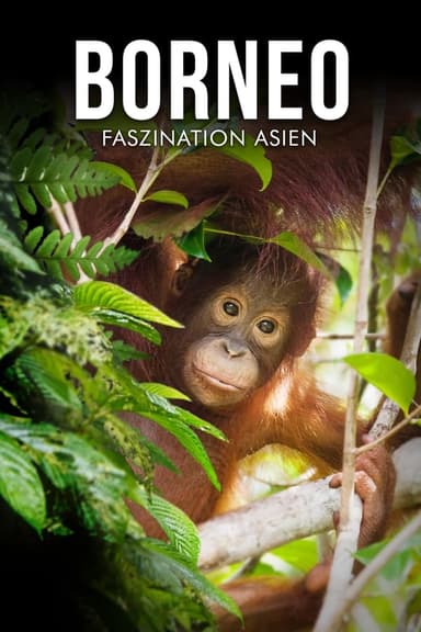 Borneo - Faszination Asien