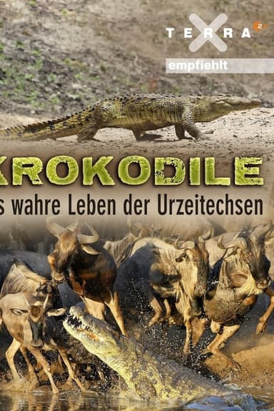 Crocodiles - The Private Life of Primeaval Reptiles