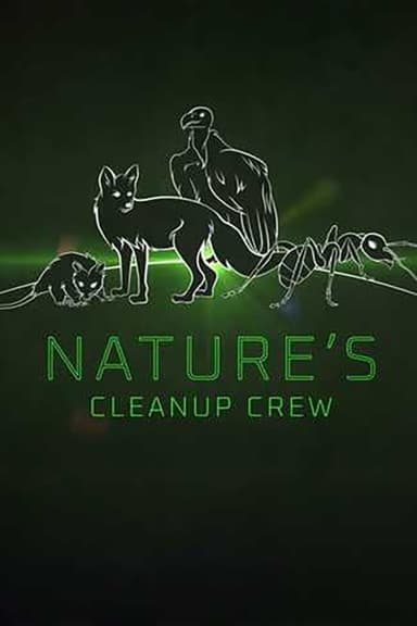 Clean Up Crew