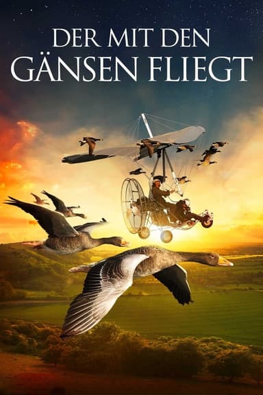 Der mit den Gänsen fliegt