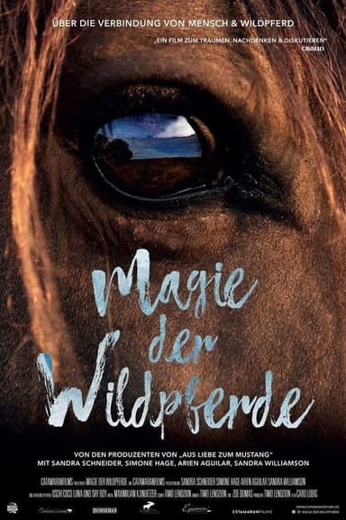 Magic of the Wild Horses