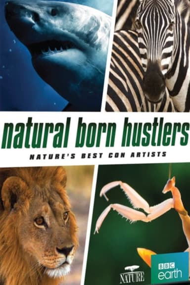 Natural Born Hustlers