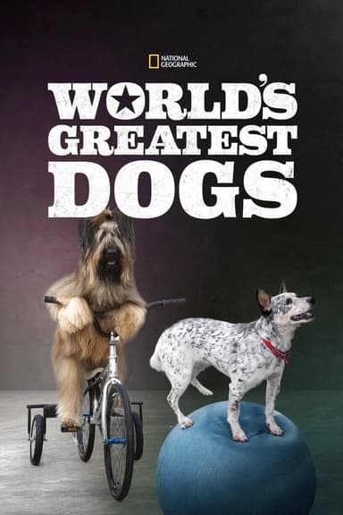 World's Greatest Dogs