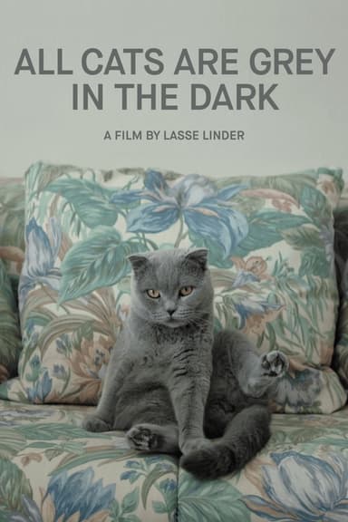 All Cats Are Grey in the Dark