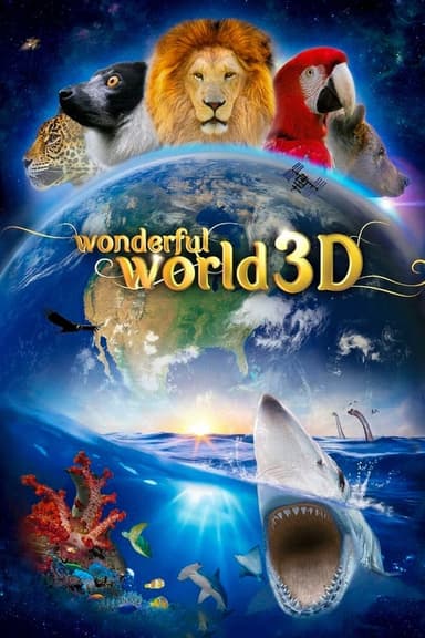 Wonderful World 3D