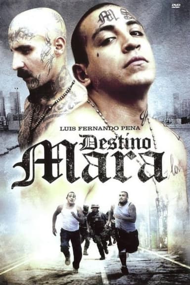 Destino Mara