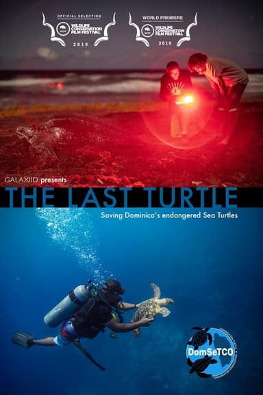 The Last Turtle