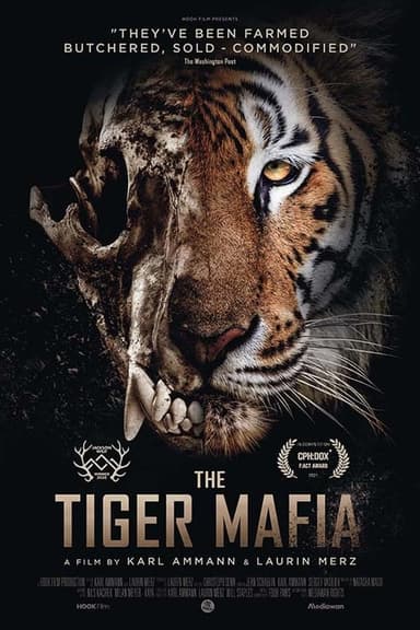 The Tiger Mafia