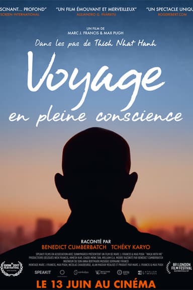 Voyage en pleine conscience