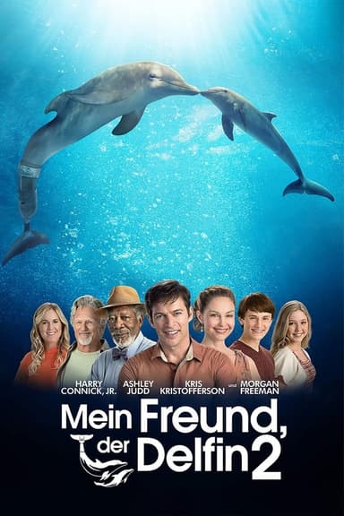 Mein Freund, der Delfin 2