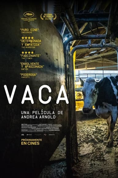 Vaca