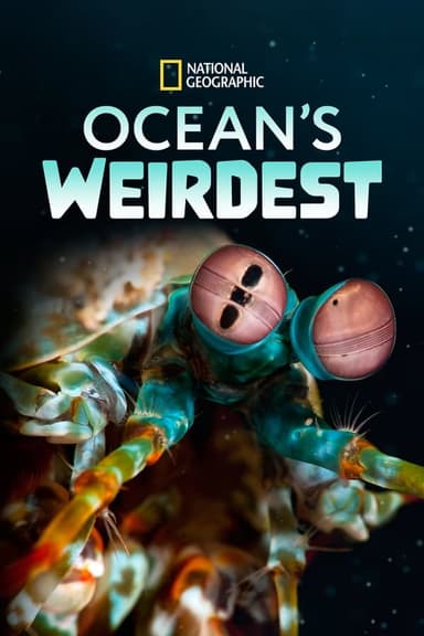 Oceani: Creature Bizzarre