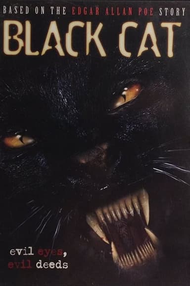 Black Cat