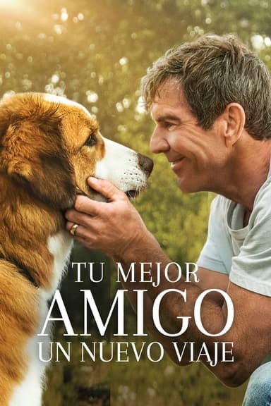 Tu mejor amigo: Un nuevo viaje