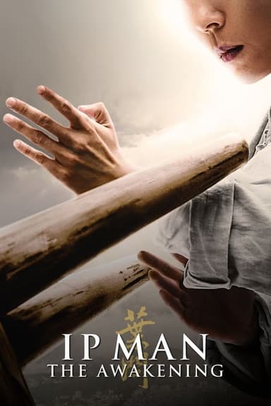 Ip Man: The Awakening