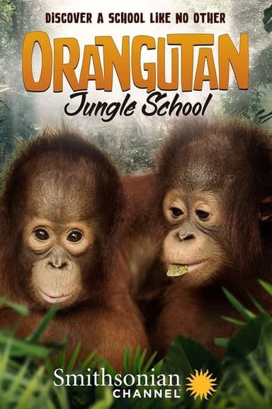 Orangutan Jungle School