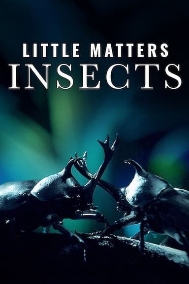 Little Matters: Insects